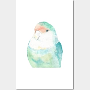 Lovebird watercolor portrait 2 Posters and Art